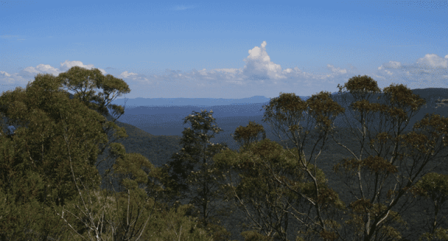 Blue_mountains_feb_13