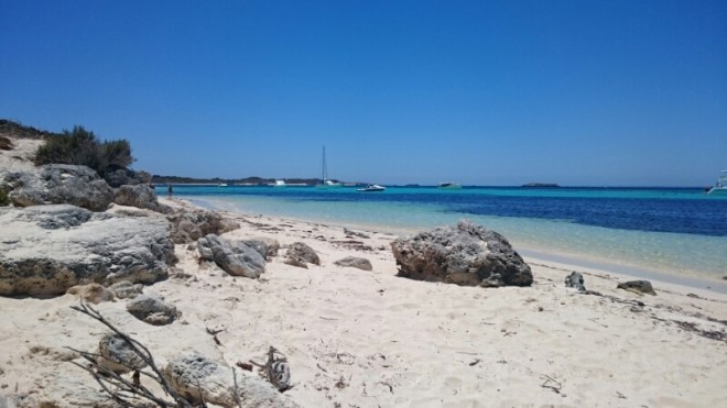 rottnest-island-1.jpg
