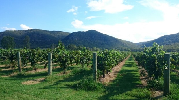 Försmak på Hunter&nbsp;Valley