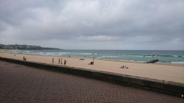 Visa er nu då,&nbsp;pingvinj****r