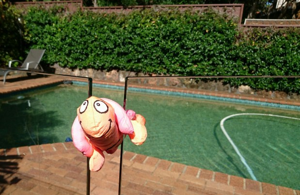 Favorit i repris – kast med lite sköldpadda 