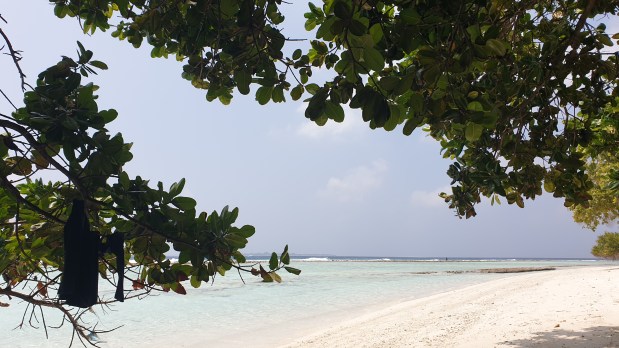 Ännu en dag på&nbsp;stranden